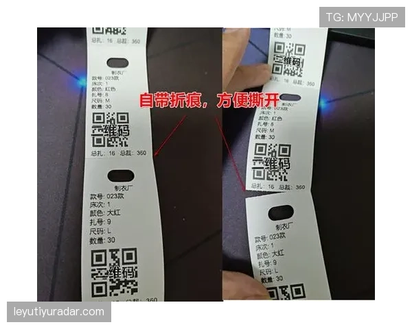 陆光祖那双鞋的价签我看了三遍，我这月工资连标签都买不起